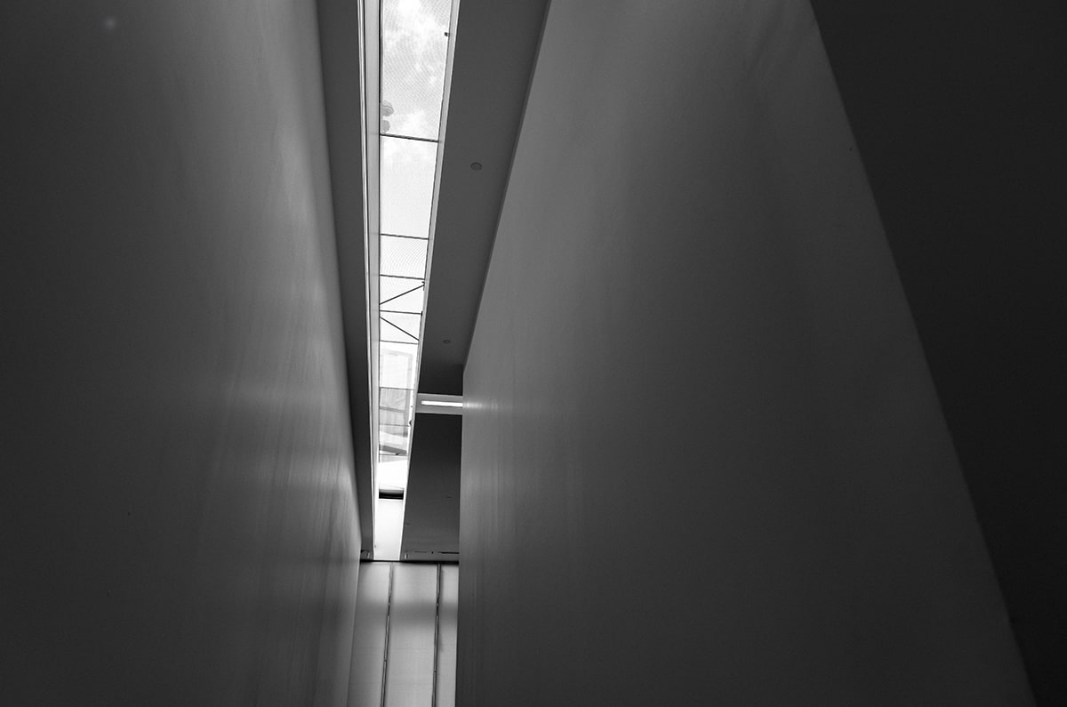 加盟德甲成大转折，樊振东全运卫冕创纪录，家乡低调回馈细节曝光